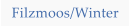 Filzmoos/Winter